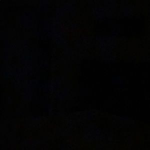 Meet your Posher, Brit